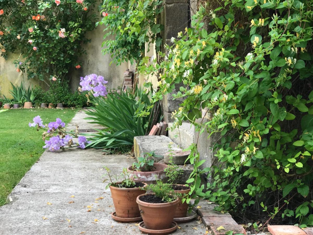 La Maison Jeanne D'Arc Saint-Fargeau  Zewnętrze zdjęcie